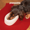 paaaata オリジナル！ビッグイヤーボウル（陶器製）2002