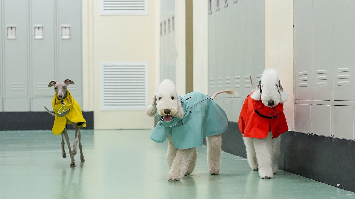 超軽量はっ水犬用ケープケープ レインコート 1004