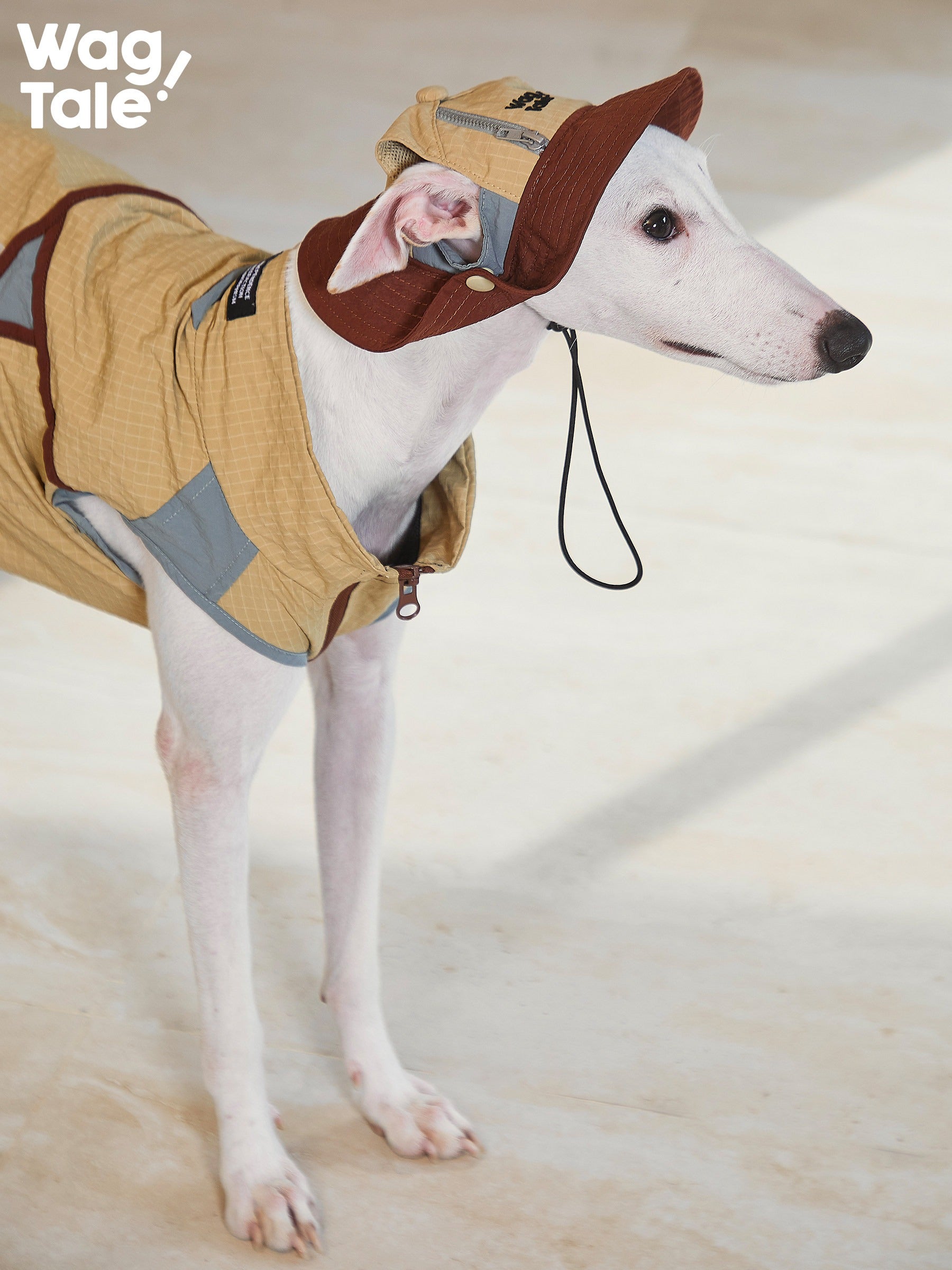 ジップオフデザイン 超軽量 防水 マウンテンベスト (犬用) 1009