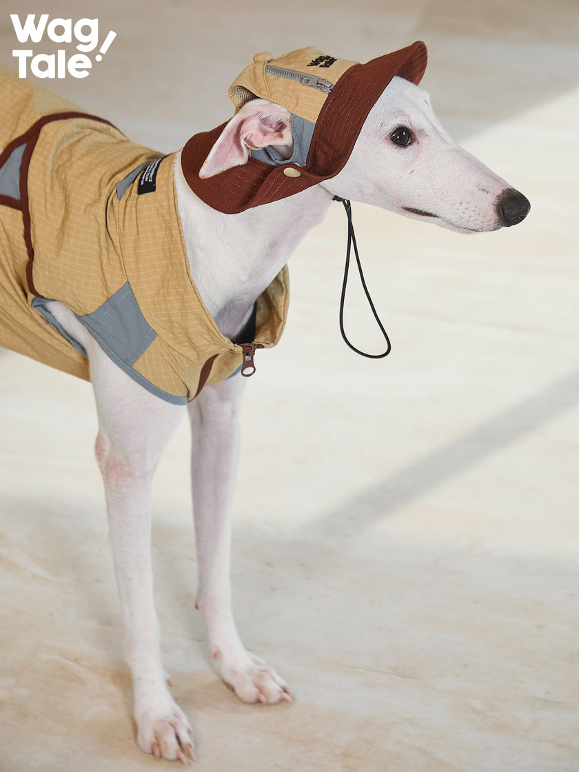 ジップオフデザイン 超軽量 防水 マウンテンベスト (犬用) 1009