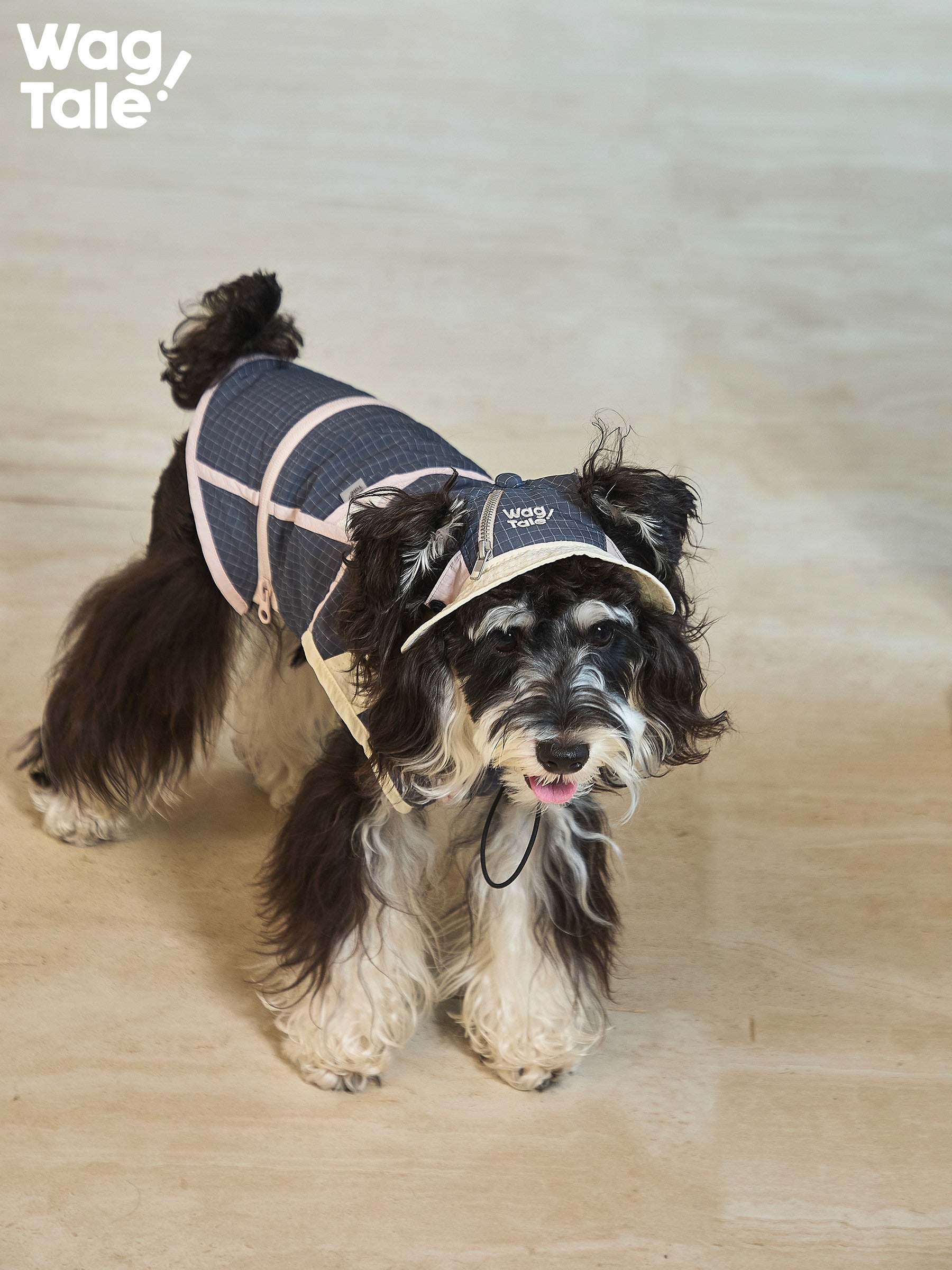 ジップオフデザイン 超軽量 防水 マウンテンベスト (犬用) 1009