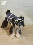 ジップオフデザイン 超軽量 防水 マウンテンベスト (犬用) 1009
