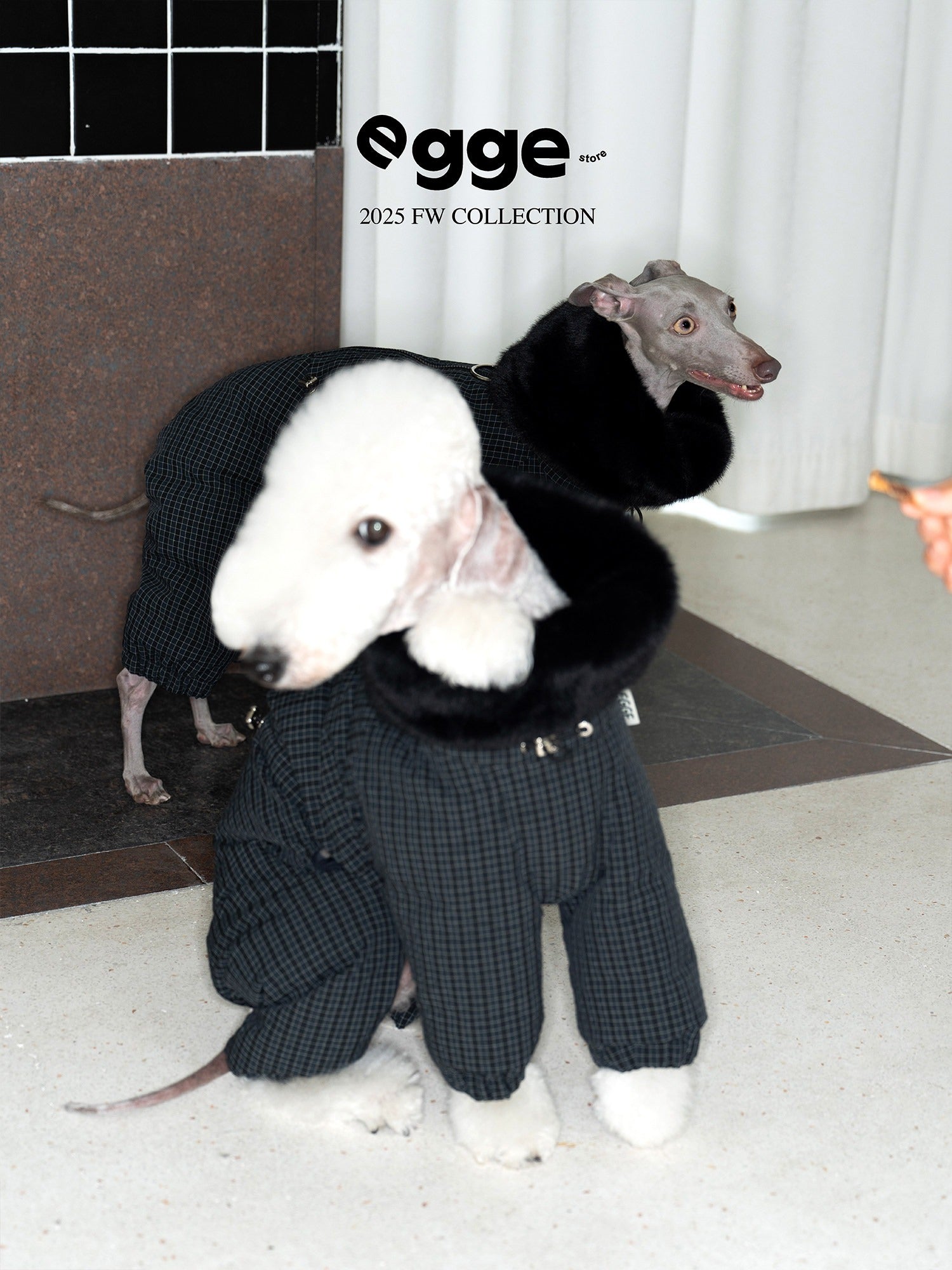 寒さ対策に厚手ダウンコート(犬用) 1001