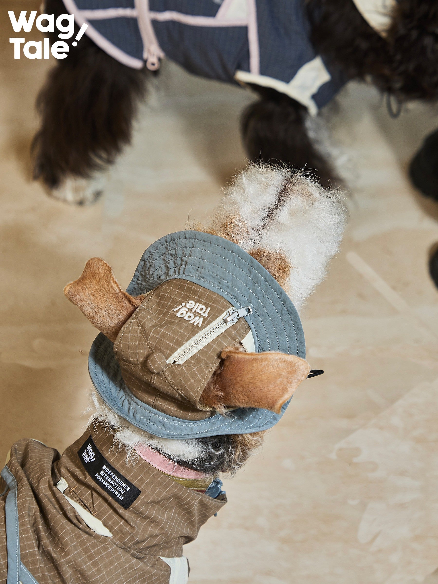 ジップオフデザイン 超軽量 防水 マウンテンベスト (犬用) 1009